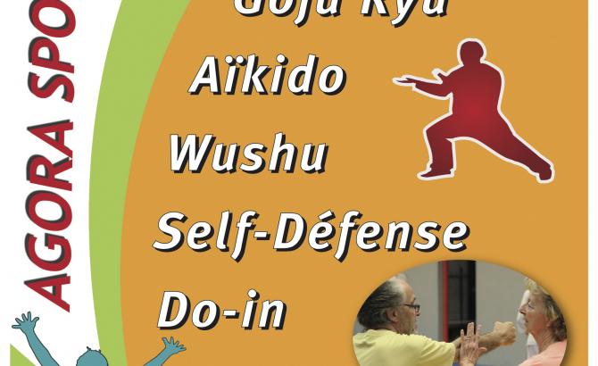 arts martiaux - do-in taïsou - okinawa karaté goju ryu - aïkido - wushu - bagua zhang